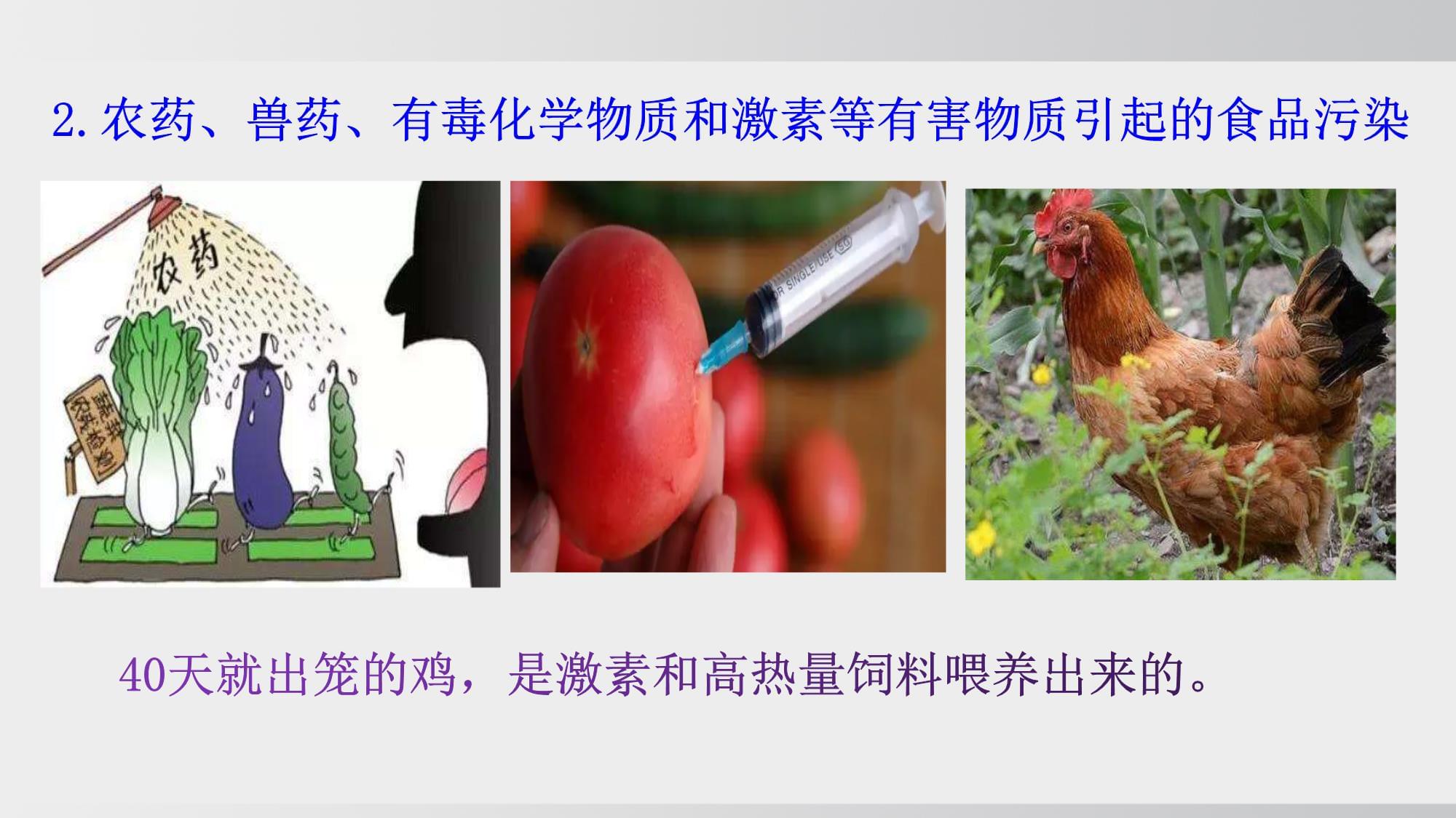 食品安全與合理飲食